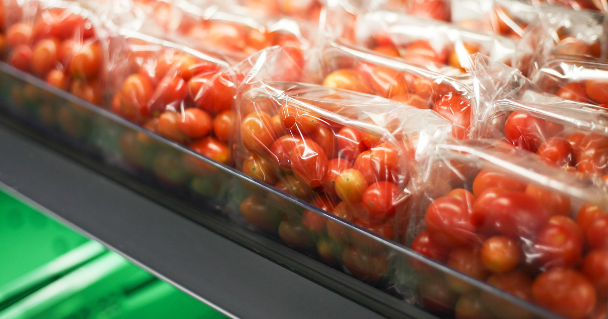 Tomates marocaines : ce que vous ignorez sur les pesticides Tomates marocaines : ce que vous ignorez sur les pesticides