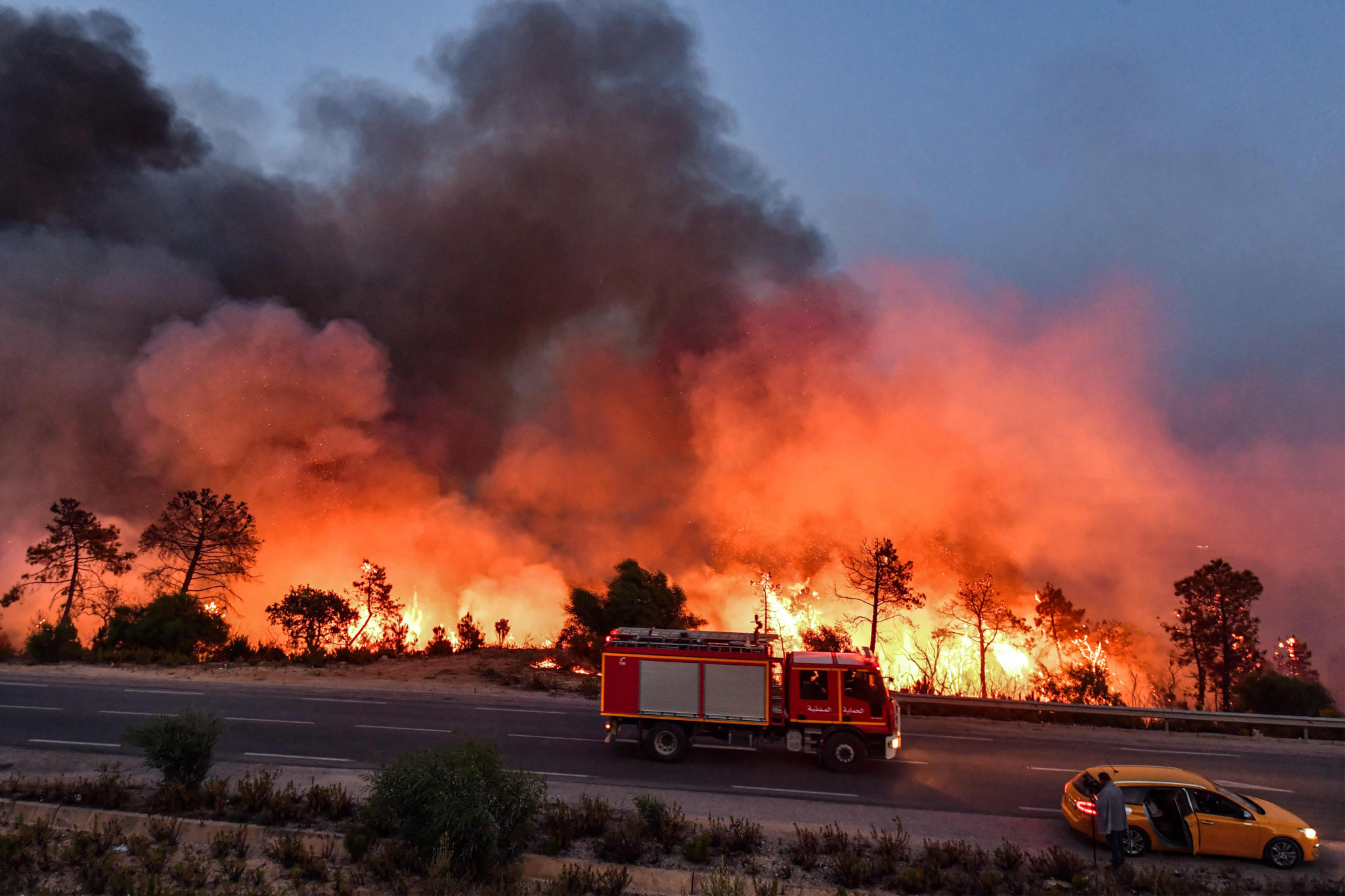 Feux de forêt en Algérie : une nuit d’enfer près de Tipaza, des familles évacuées Incendies en novembre en Algérie : un record inquiétant