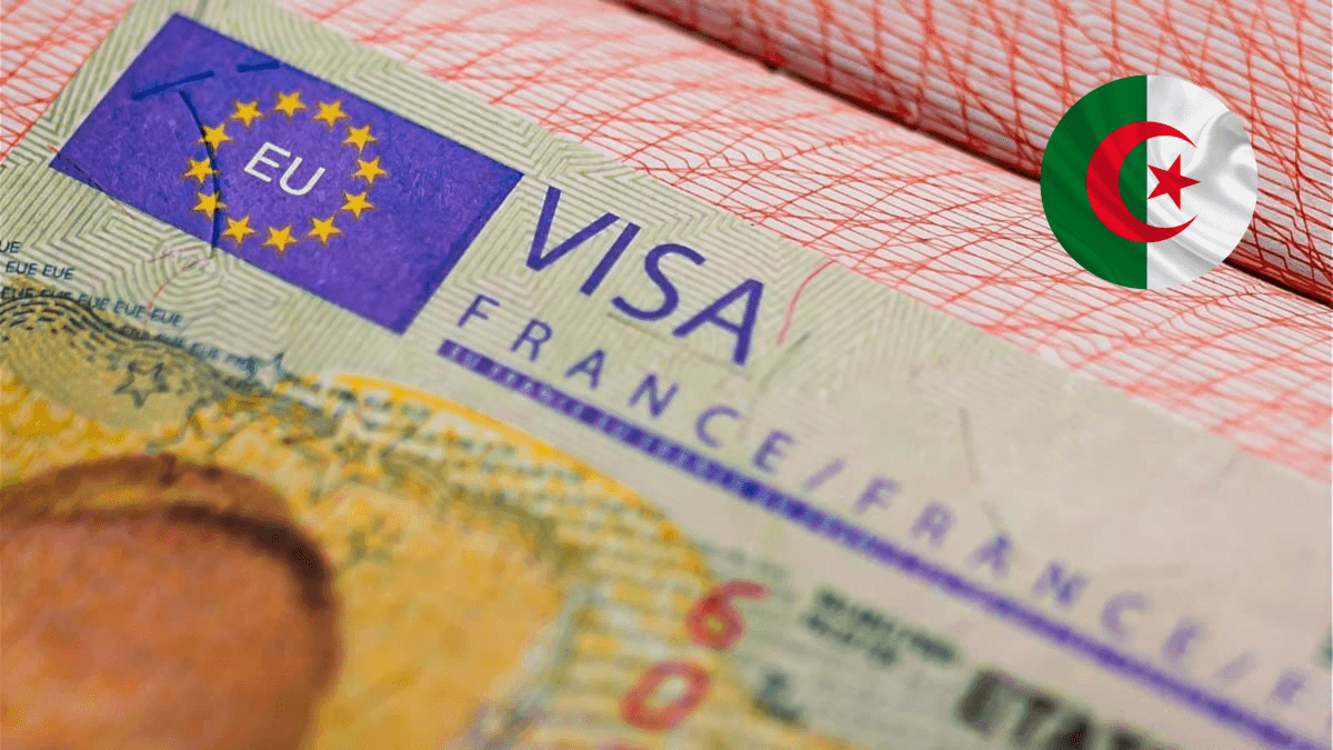 Visas pour Algériens : pourquoi la réduction échoue toujours