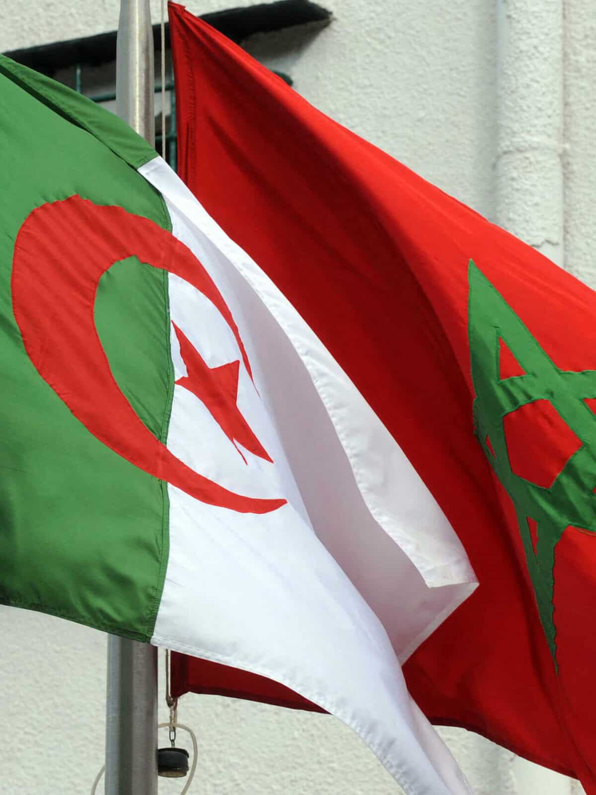 Drapeaux de l'Algérie et du Maroc côte à côte.