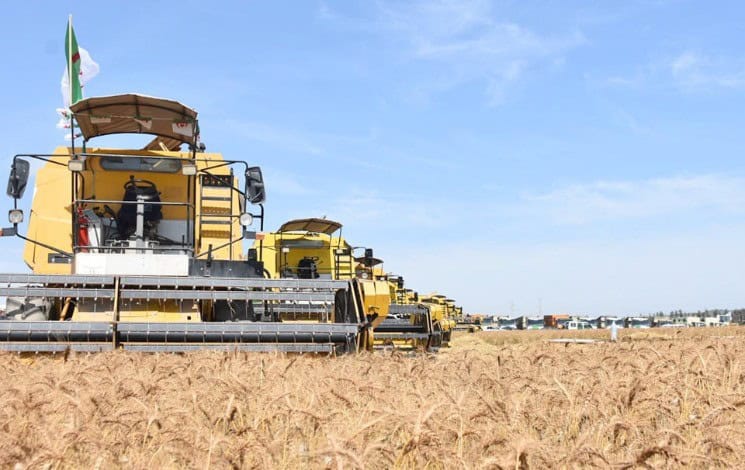 Tracteurs agricoles modernes dans un champ de blé en Algérie.