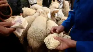 Aïd-el-Adha : Mystère du prix élevé du mouton en Algérie Aïd-el-Adha : Mystère du prix élevé du mouton en Algérie