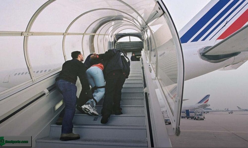 France : un Algérien expulsé de façon discrète Passagers expulsés discrètement d'un avion à l'aéroport.