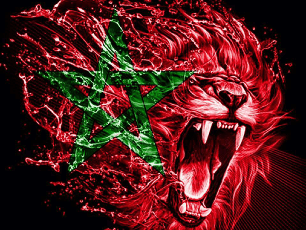 Lion rugissant avec drapeau marocain en arrière-plan.