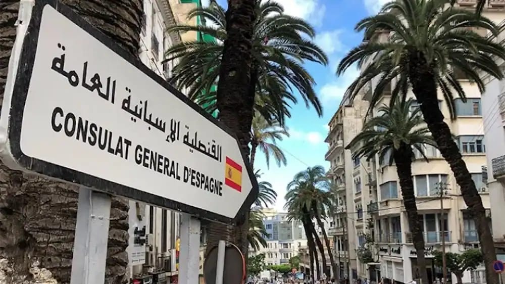 Sign du consulat général d'Espagne à Alger avec palmiers en arrière-plan.