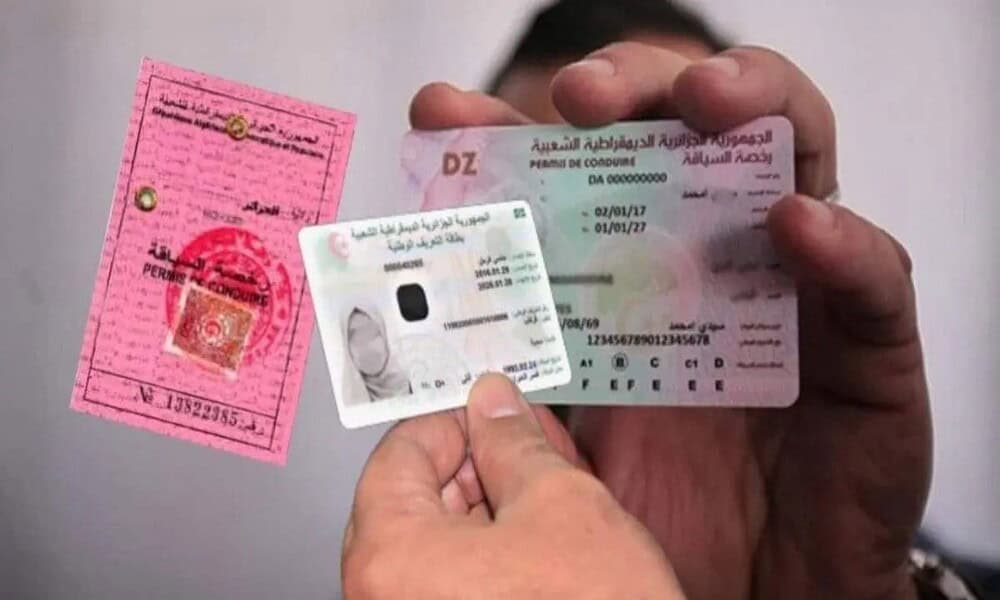 Permis de conduire algérien et carte d'identité en main.