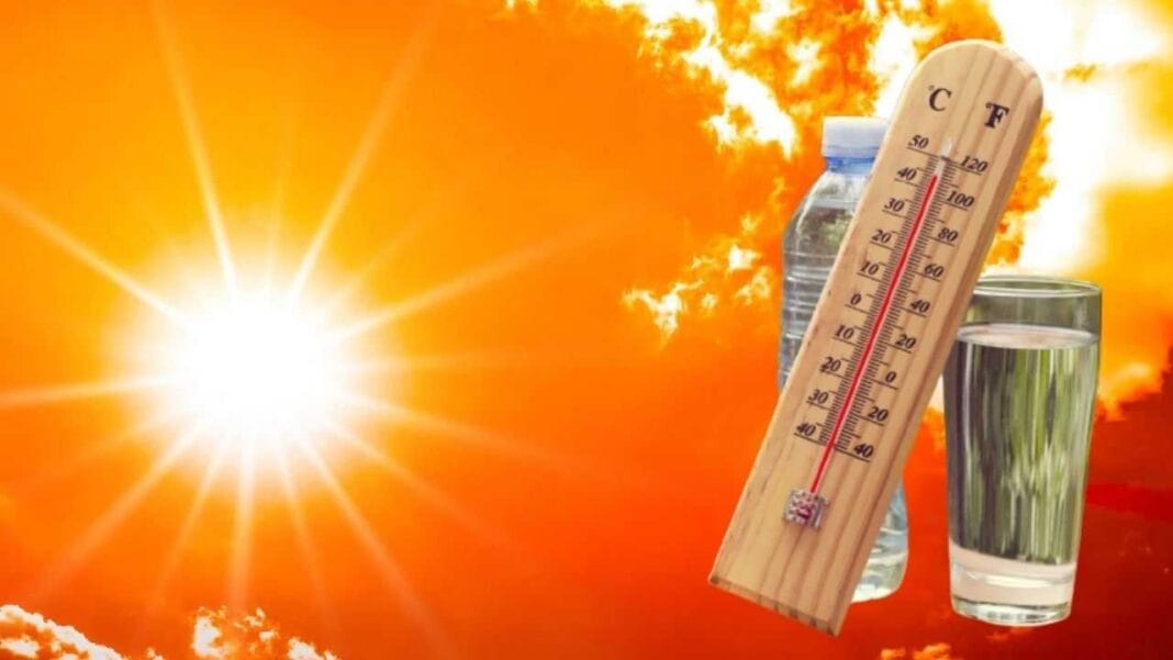 Météo Algérie : Alerte canicule, les prévisions pour le 1er août 2024 Thermomètre indiquant une forte chaleur sous un soleil éclatant.