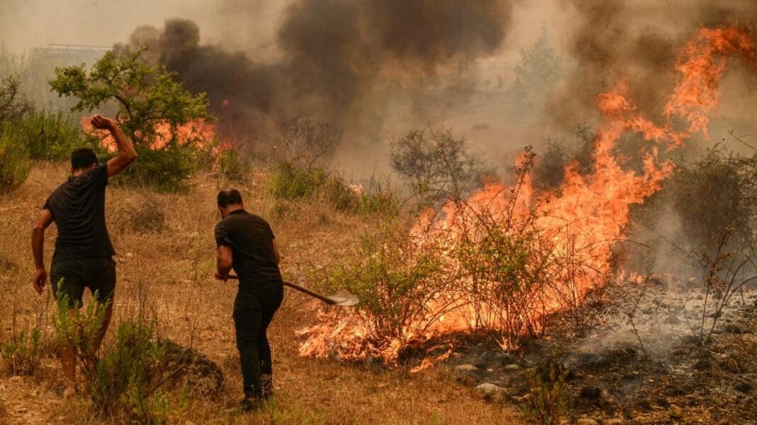 Incendies à El Tarf : trois pyromanes arrêtés Deux hommes tentent de maîtriser un feu de forêt à El Tarf.