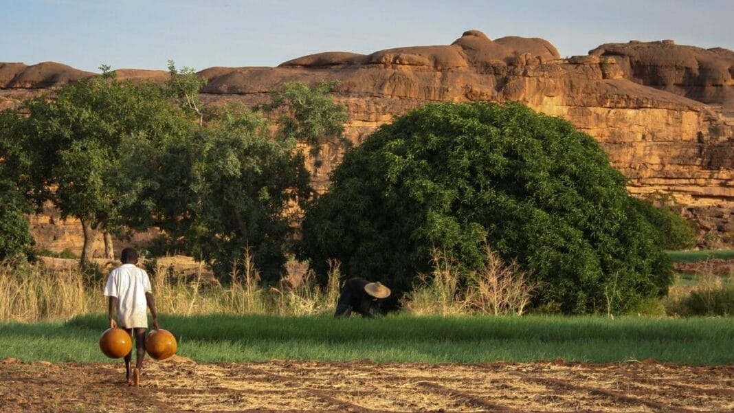 Agriculteur avec deux citernes dans un paysage aride et rocheux.