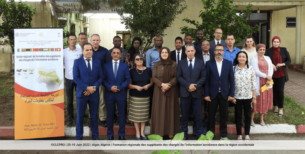 Groupe de participants lors d'une formation régionale en Algérie.
