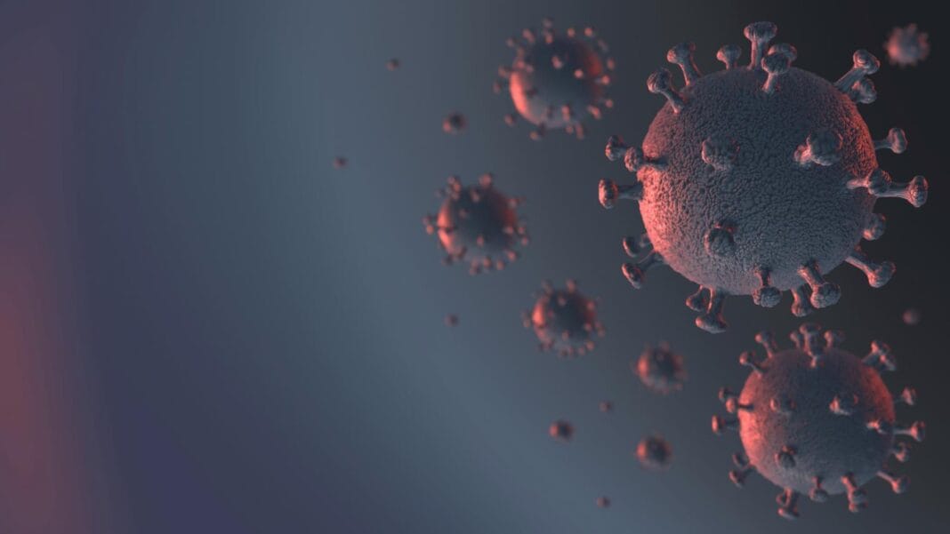 Représentation 3D du virus COVID-19 en Algérie.