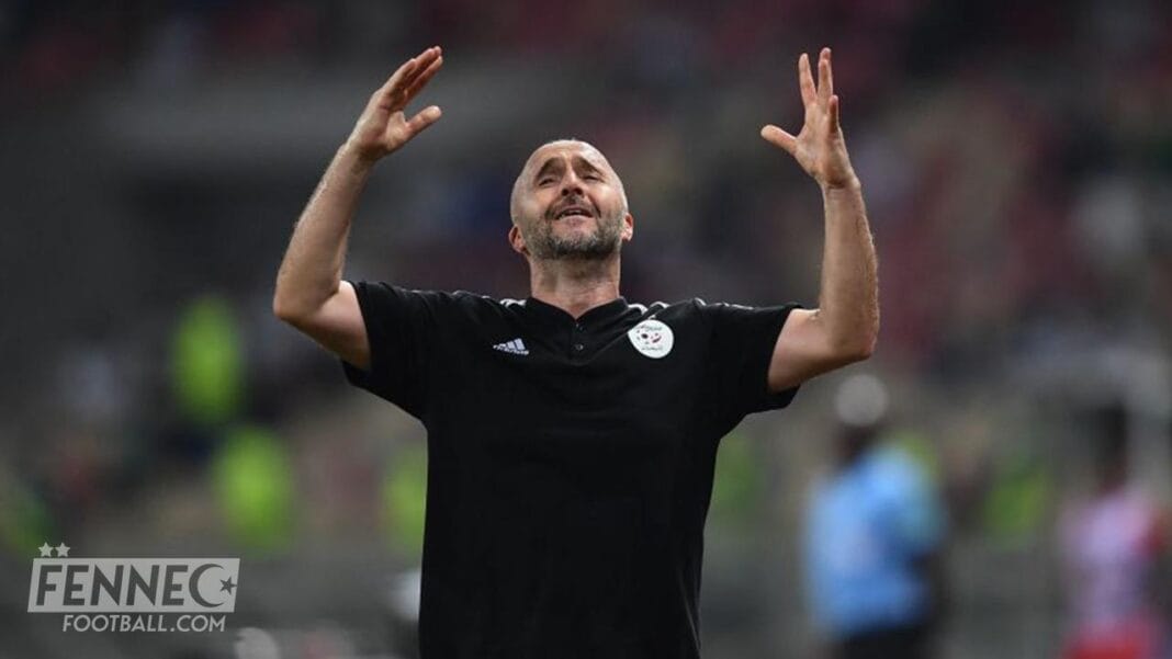 Algérie: le contrat de Belmadi officiellement renouvelé, avec une hausse de salaire Coach Belmadi célèbre lors d'un match de football en Algérie.