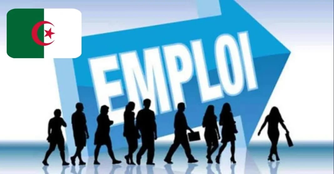Emploi en Algérie : le ministère de la Santé recrute Offres d'emploi dans le secteur de la santé en Algérie.