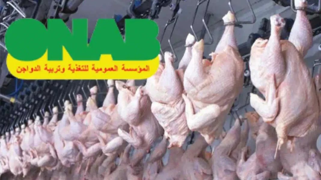 Algérie : Voici les points de vente où le poulet est à 350 DA/kg maximum Poulets frais suspendus dans une ferme en Algérie.