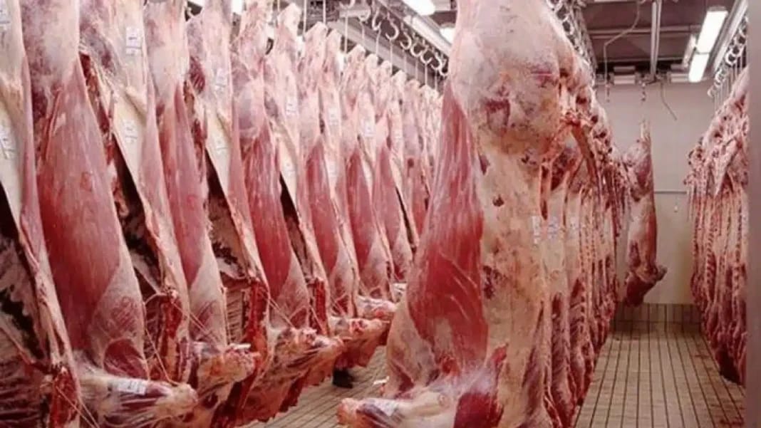 Stockage de viande rouge dans une abattoir en Algérie.