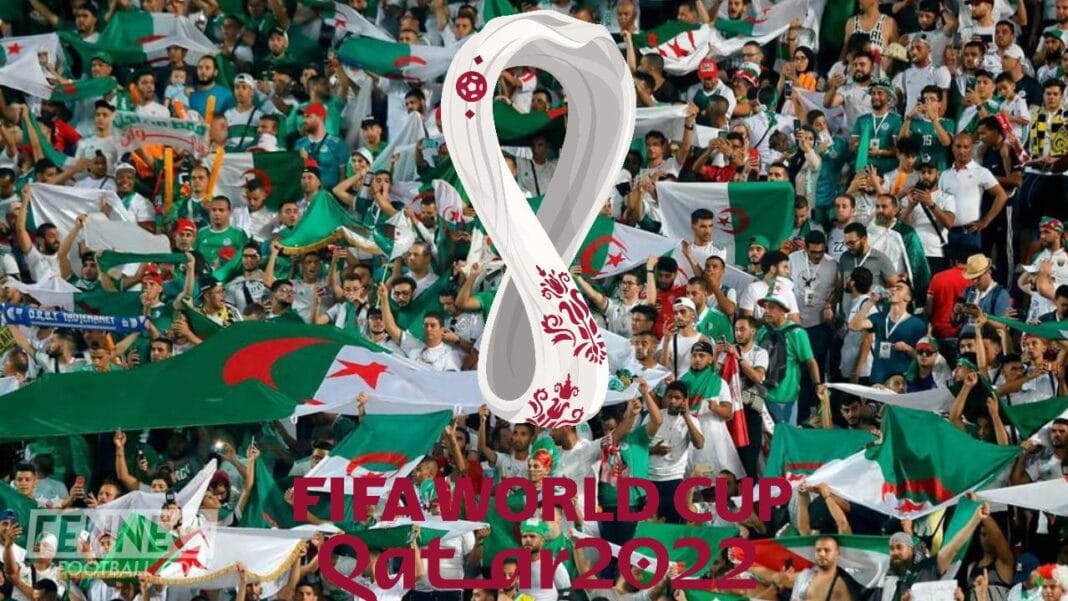 Supporters algériens avec drapeaux et écharpes lors de la Coupe du Monde 2022.