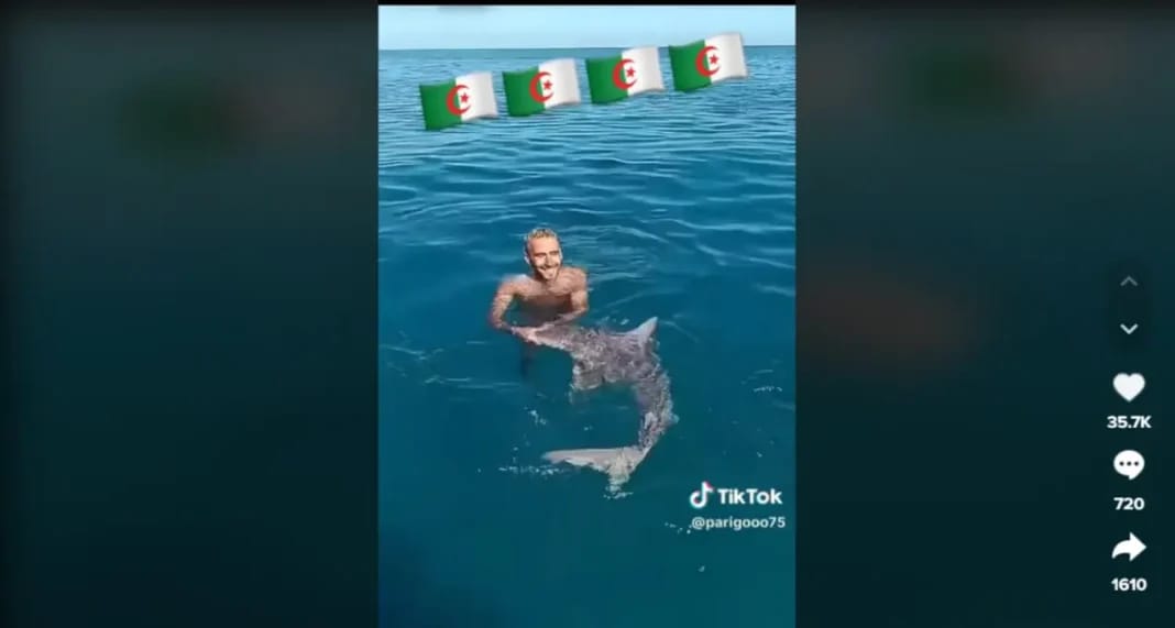 Algérie : Il nage avec un requin la vidéo fait le buzz Homme nageant avec un requin dans la mer en Algérie.