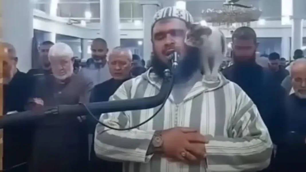 Vidéo de l’imam algérien avec le chat : Voici ce que disent les médias non musulmans Imam algérien parlant avec un chat sur un microphone lors d'une vidéo.
