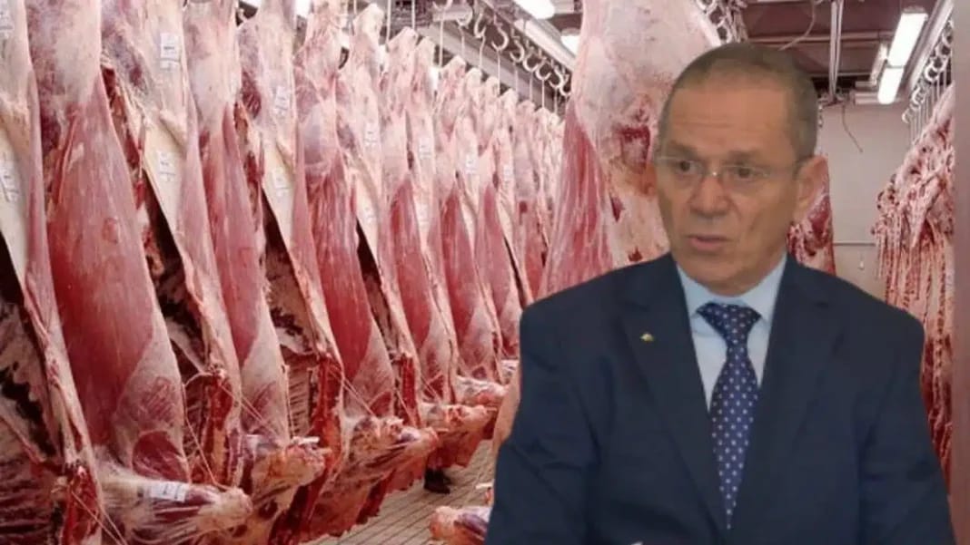Algérie : Tripes et foie d’agneau pour 12 000 DZD Veaux brésiliens fraîchement arrivés dans un abattoir tunisien.