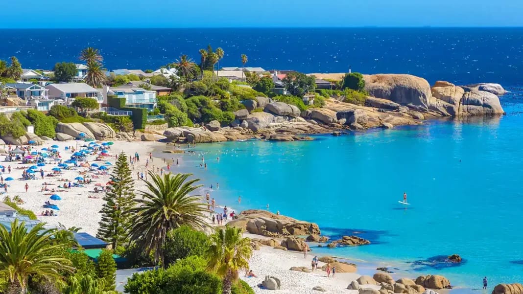 Plage ensoleillée avec vue sur la mer Plage tropicale avec sable blanc, palmiers et eaux turquoise.