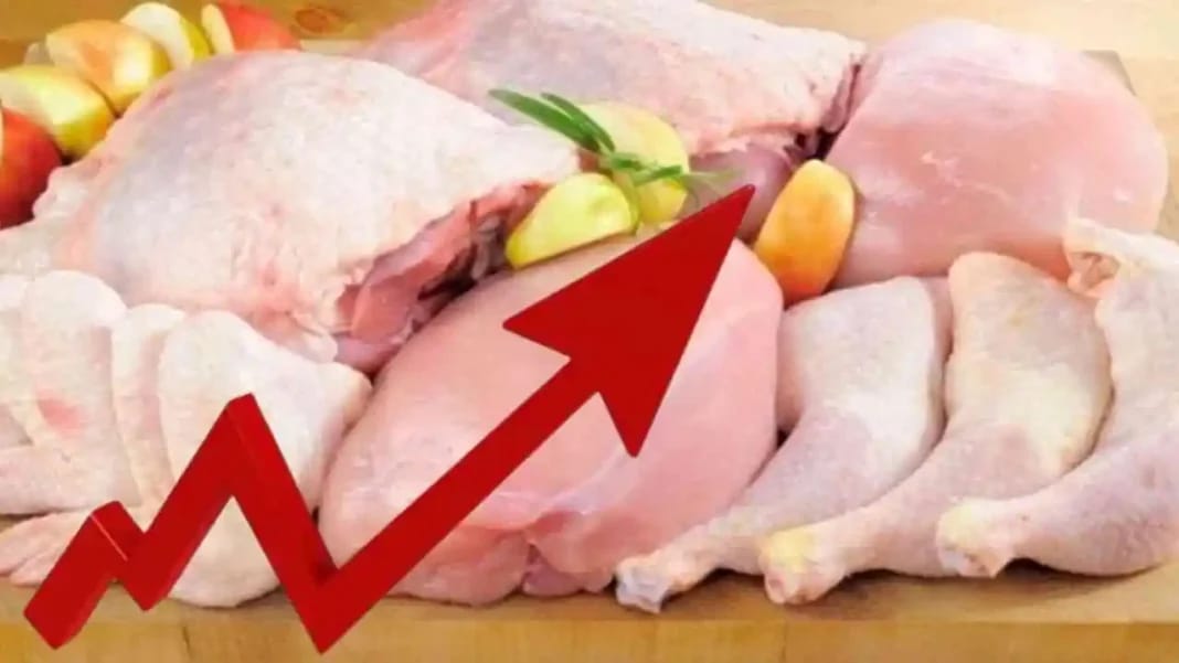 Augmentation des prix de la viande blanche en Algérie.