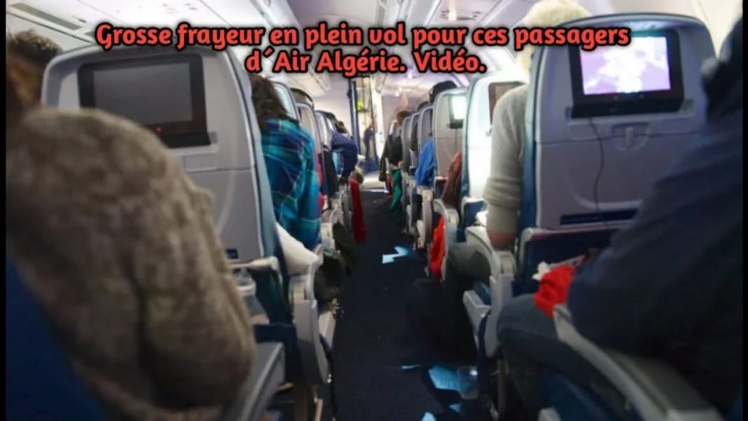 Passagers effrayés par des cafards dans l'avion d'Air Algérie.