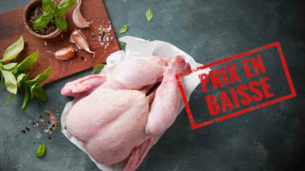 Poulet frais avec étiquette de baisse de prix en Algérie.