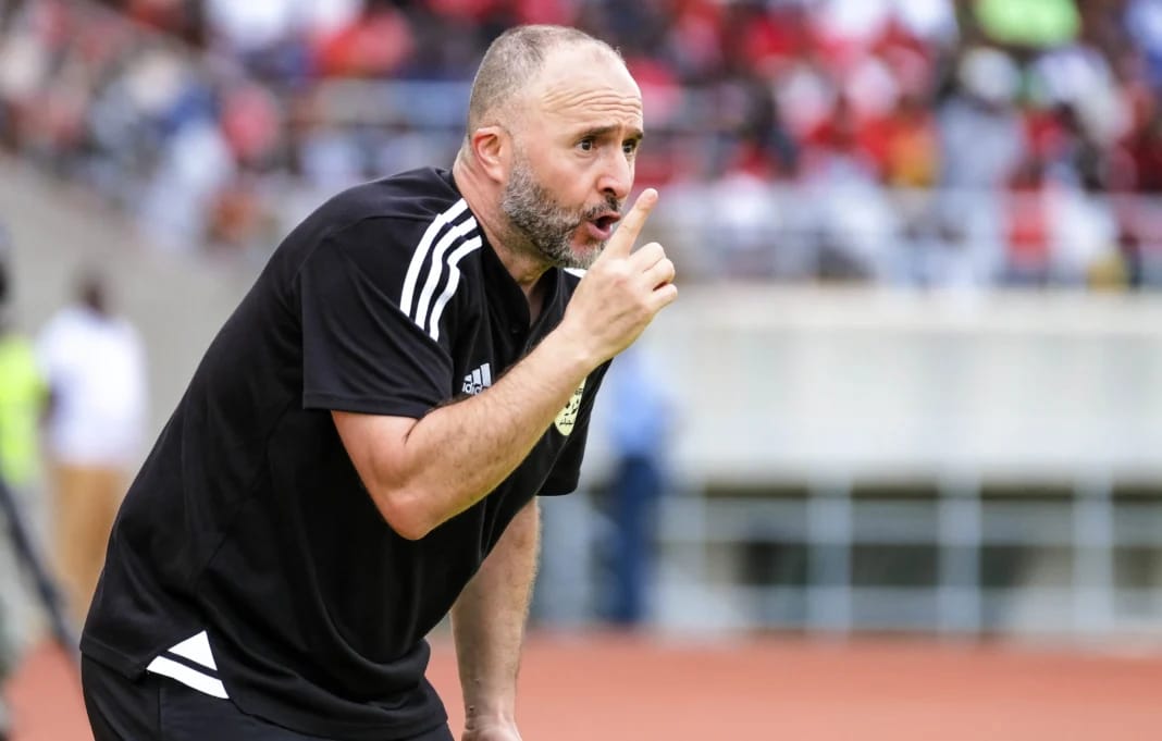 CAN 2024 : Djamel Belmadi, Gasset, Hughton… Tour d’Horizon des départs précoces Djamel Belmadi, entraîneur, donne des instructions sur le terrain.