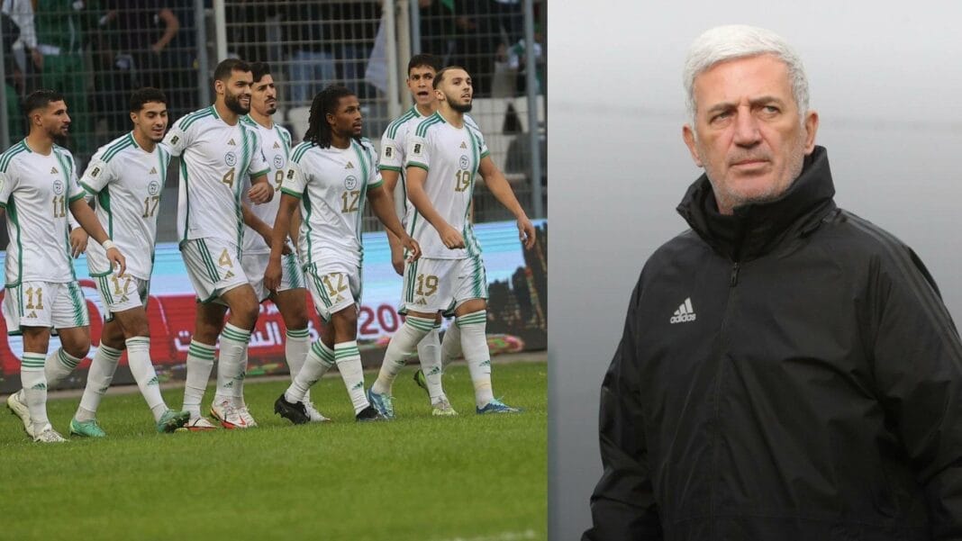 Vladimir Petkovic observe l'équipe d'Algérie avant un match.