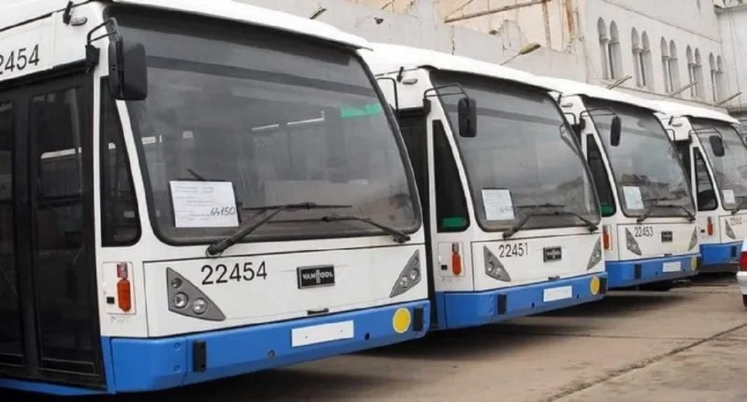 Nouvelle ligne de bus entre l’aéroport d’Alger et Tizi Ouzou : vers une révolution des transport en commun Groupe de bus modernes pour la nouvelle ligne de transport en commun.