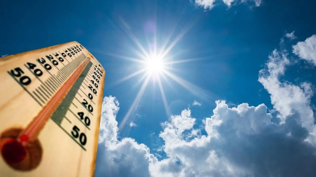 Canicule en France : ce que révèlent ces morts et ce chaos Canicule en France : ce que révèlent ces morts et ce chaos