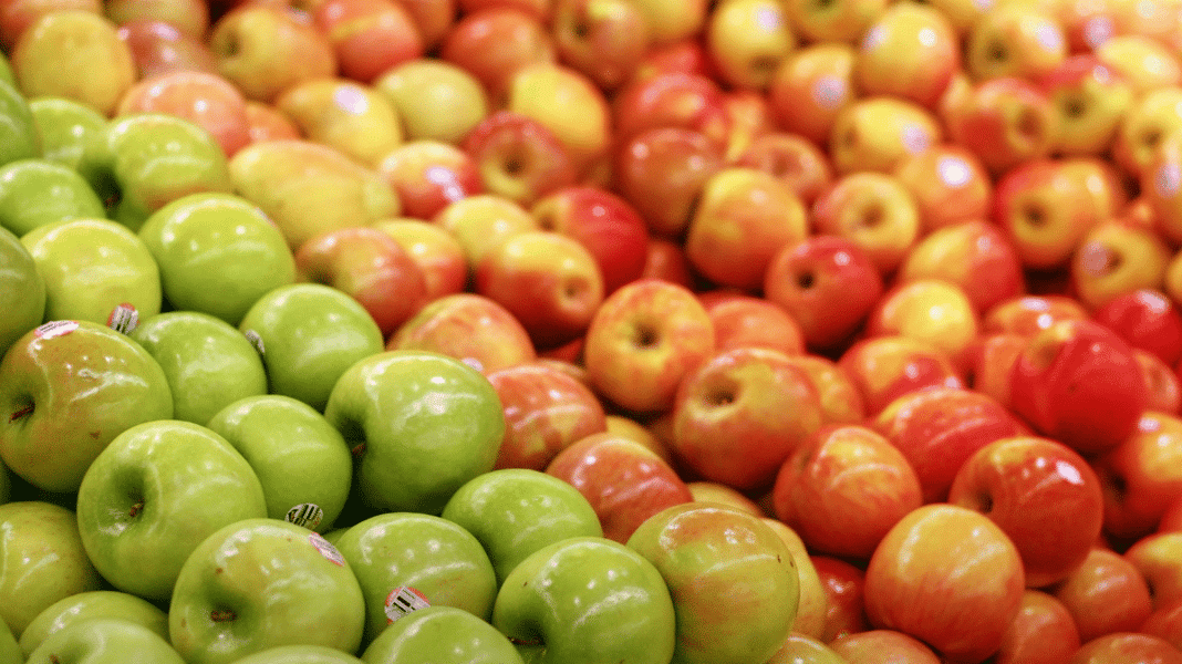 Algérie : la grêle menace les récoltes de pommes cette saison Prix des pommes algériennes : la polémique enfle encore