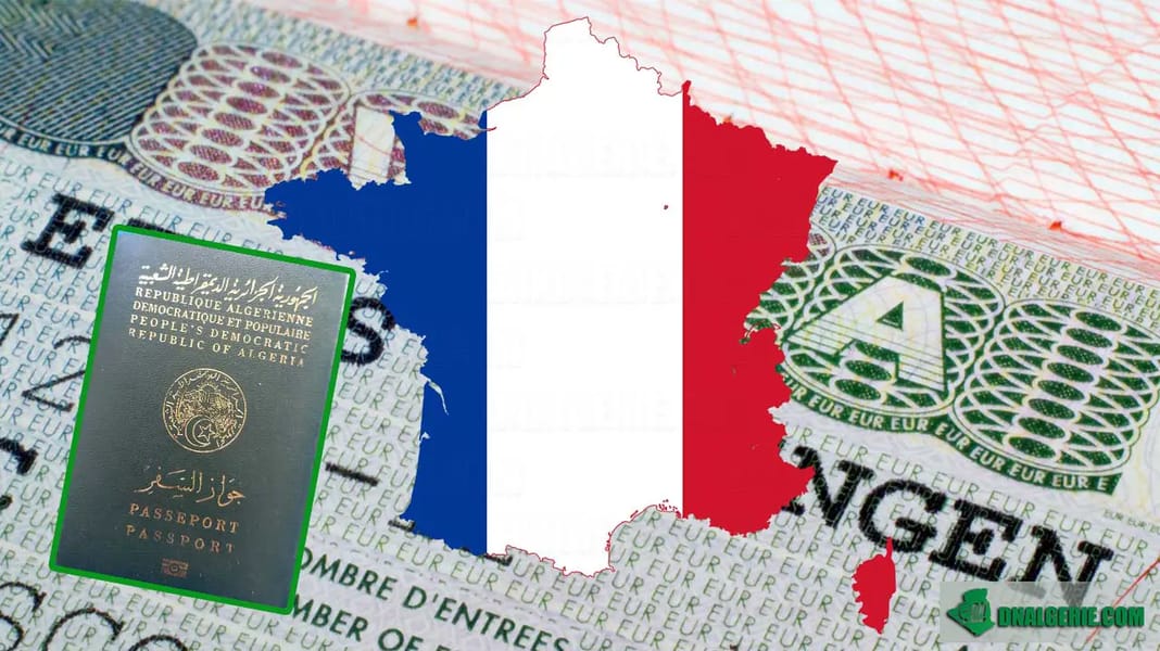 Vol France-Algérie : 12 000 € cachés sous les vêtements Rappels importants : passeports et cartes d'identité en Algérie !
