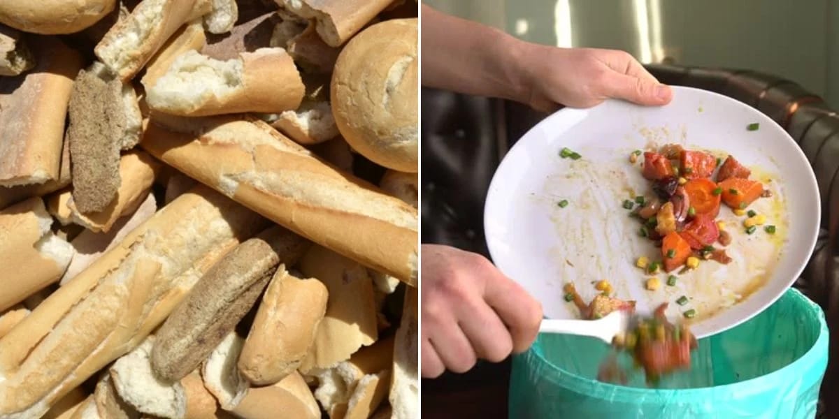Gaspillage du pain en Algérie : une catastrophe alimentaire en plein Ramadan 2025 !