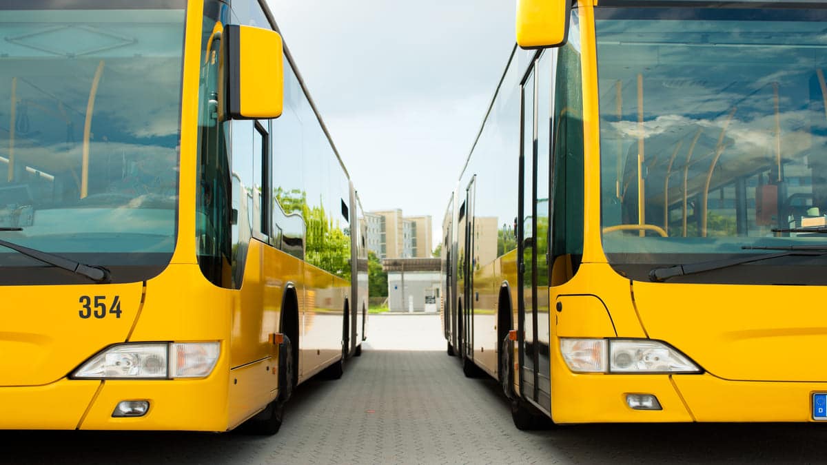 Tebboune agit vite : importation record de bus et pneus