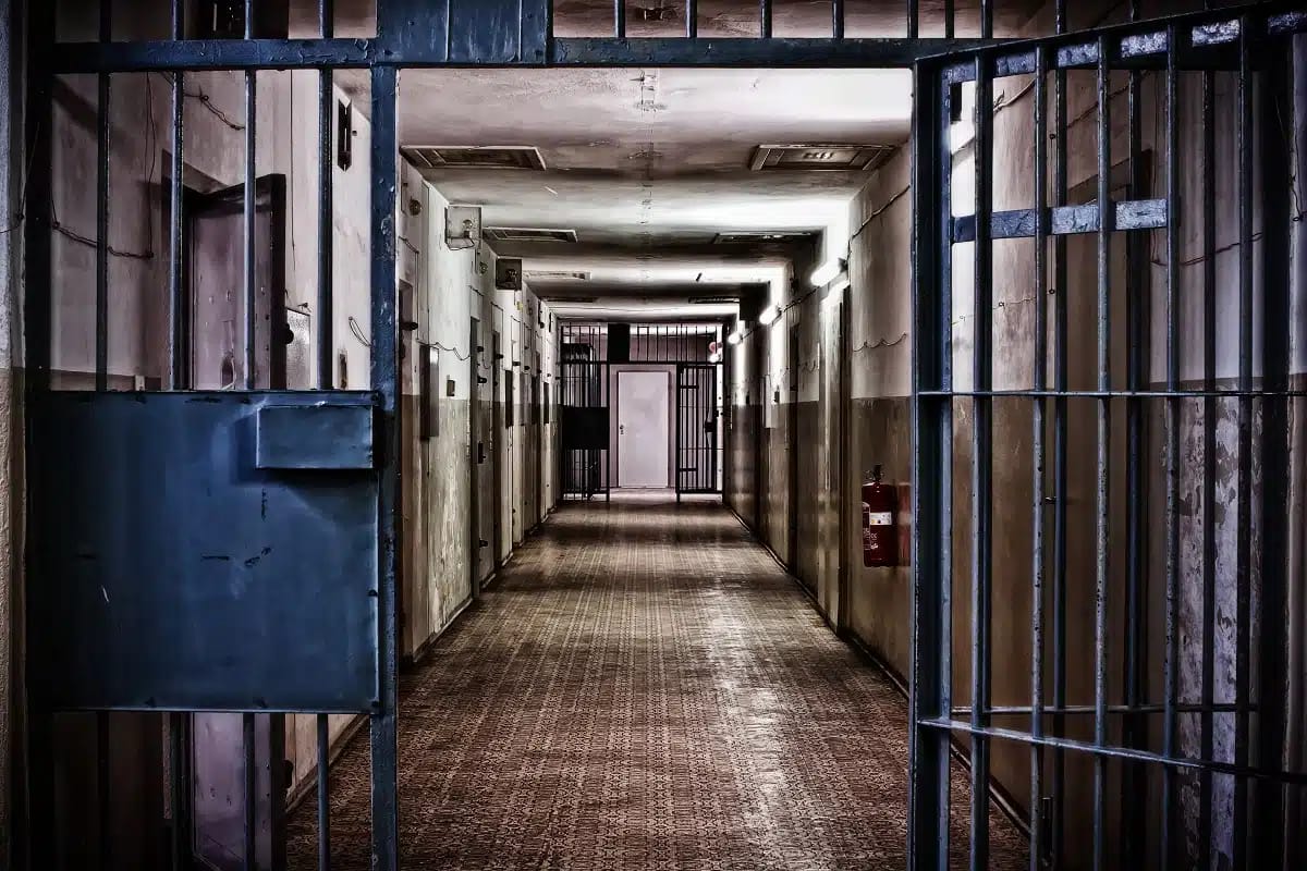 Grâce présidentielle : 6500 prisonniers libérés en Algérie
