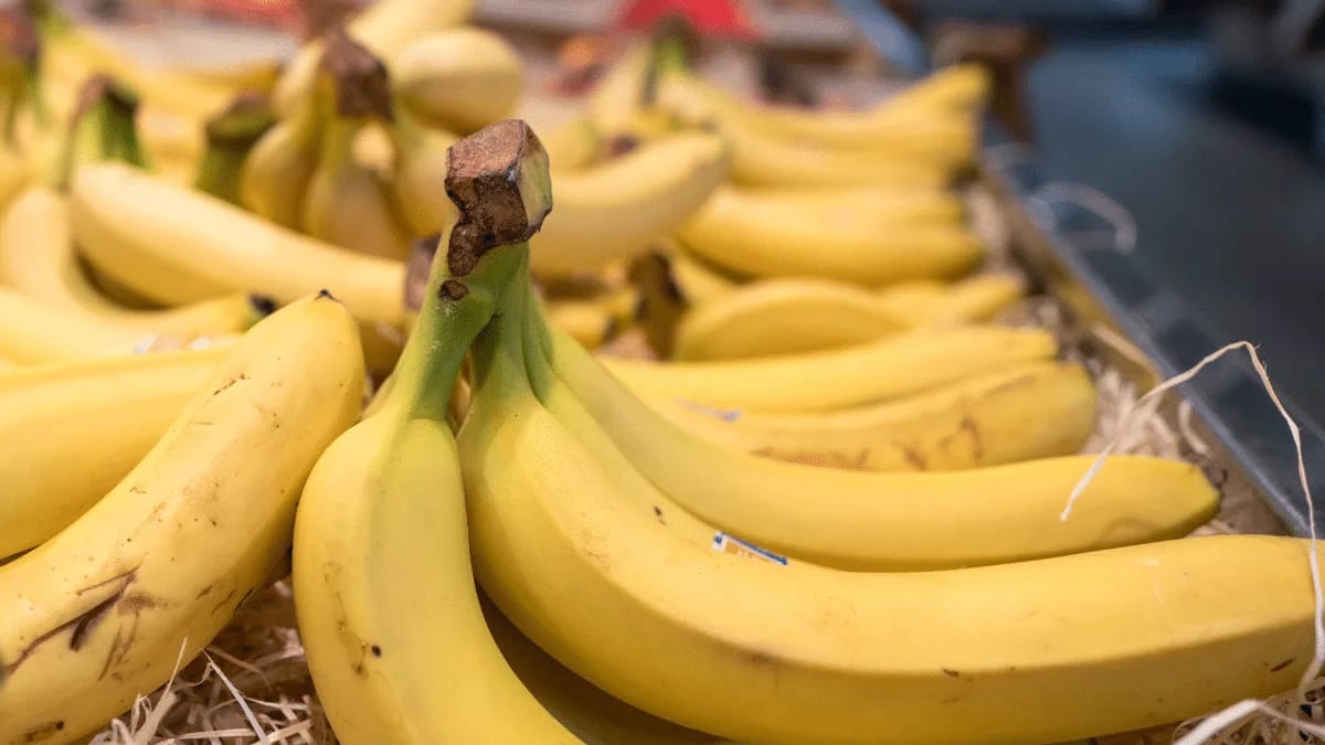Algérie : vers une nouvelle banane au cœur du Maghreb ?