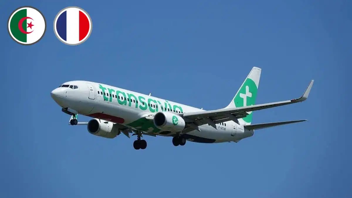 Avion Transavia en vol vers l'Algérie, été 2026.