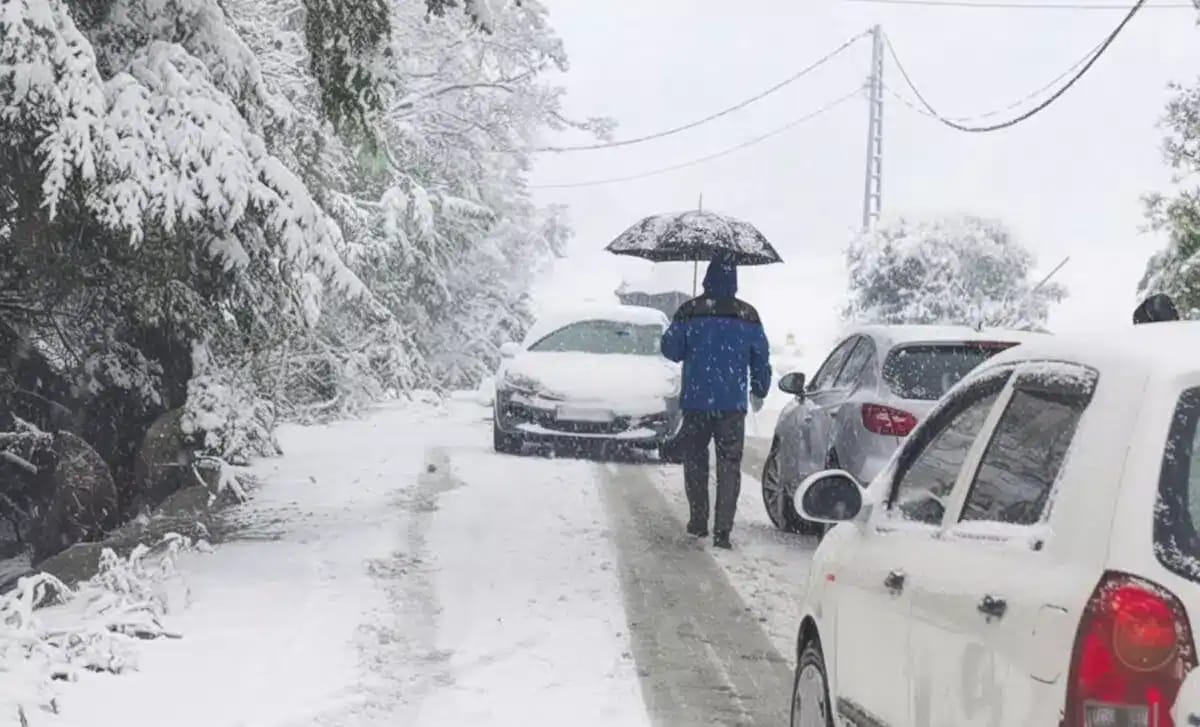 Personne avec parapluie sous la neige, voitures recouvertes de glace.