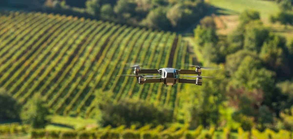 Drone sur vignoble verdoyant en Tunisie avec collines en arrière-plan.