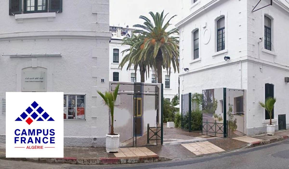 Entrée de Campus France à Alger avec palmiers et bâtiments blancs.