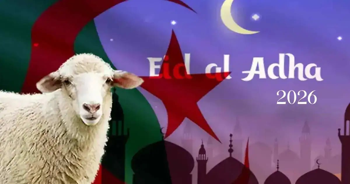 Mouton devant un fond de drapeau algérien et mosquées.