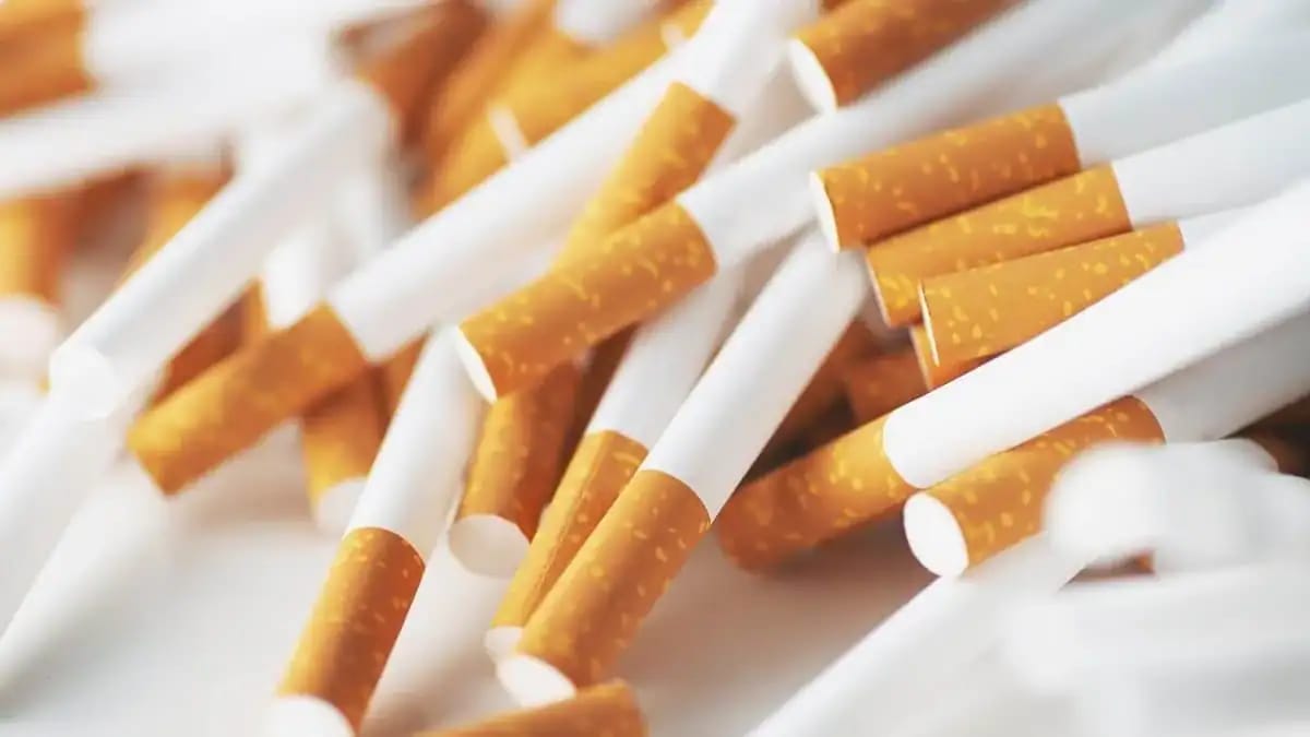 Cigarettes en paquet avec plusieurs cigarettes visibles.