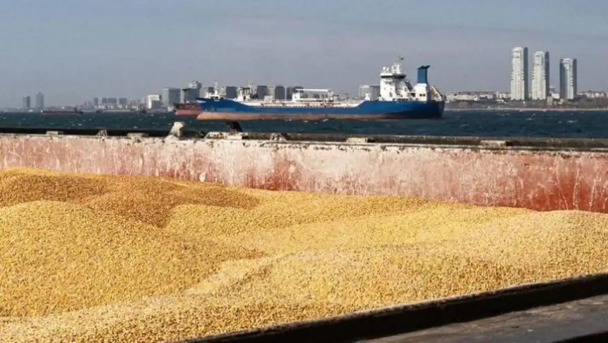 Cargo de blé tendre en route vers l'Algérie avec la ville en arrière-plan.
