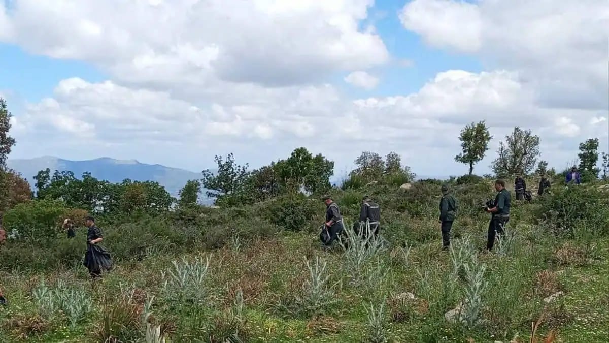 Groupe de personnes dans une forêt interdite en Algérie.