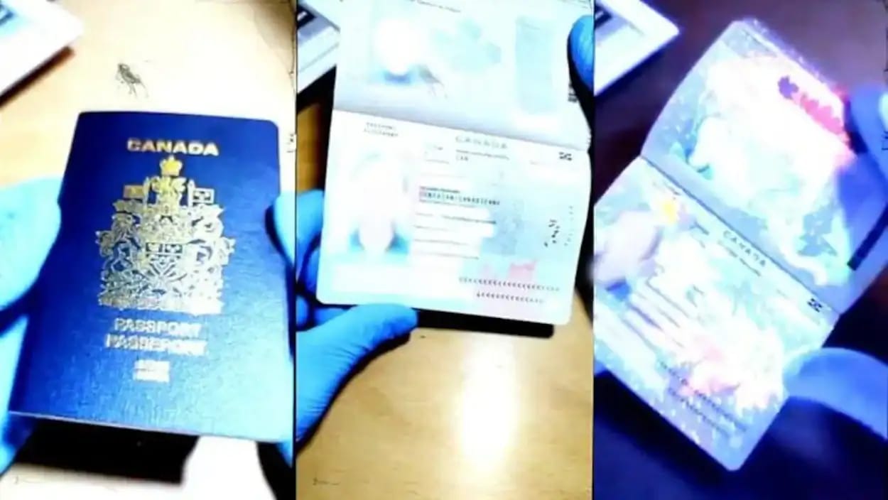 Passeports contrefaits utilisés pour la migration clandestine.