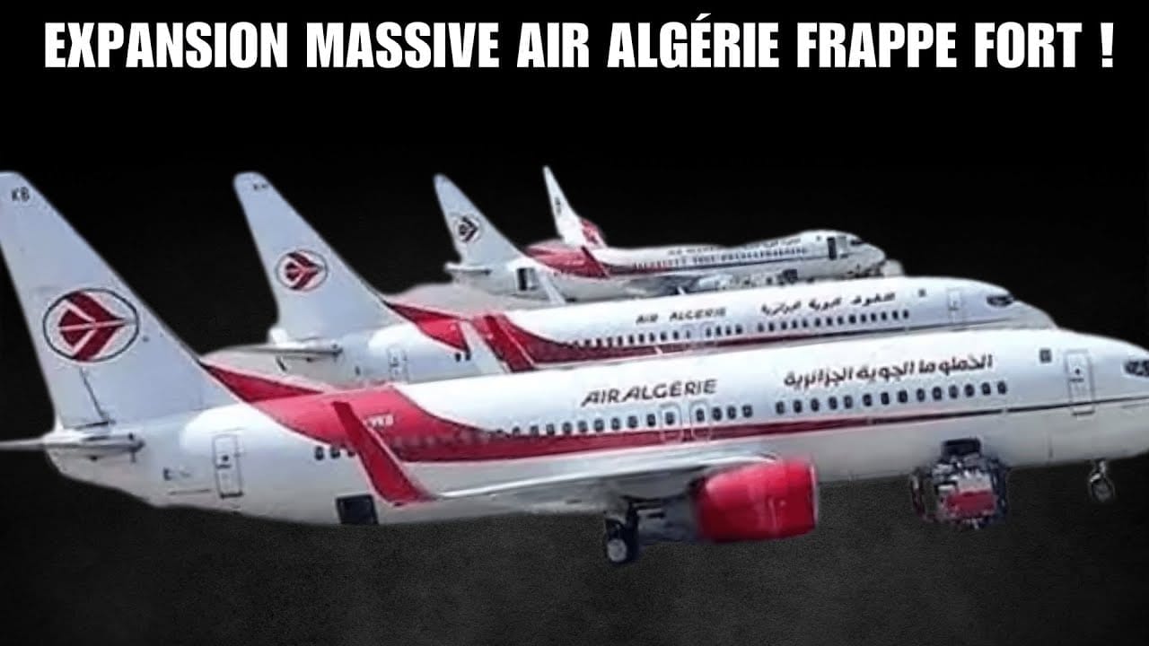 Flotte moderne d'Air Algérie avec avions Airbus.