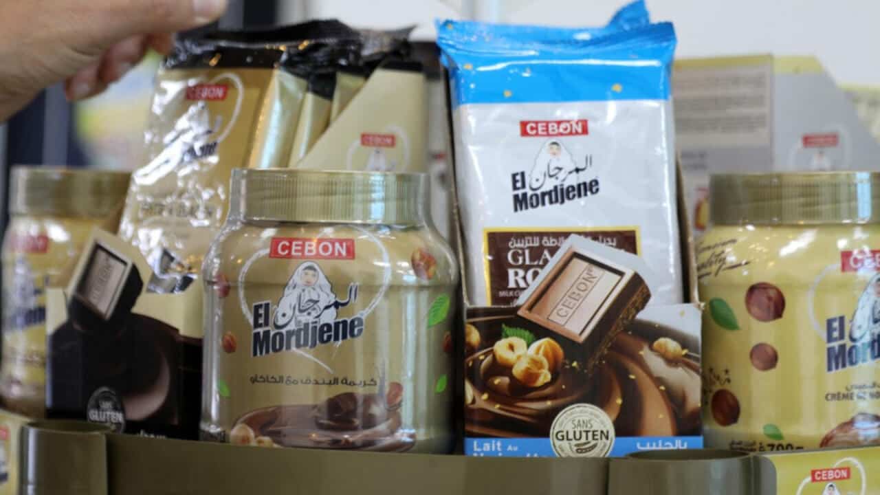 France : 197 kg d' El Mordjene saisis et détruits
