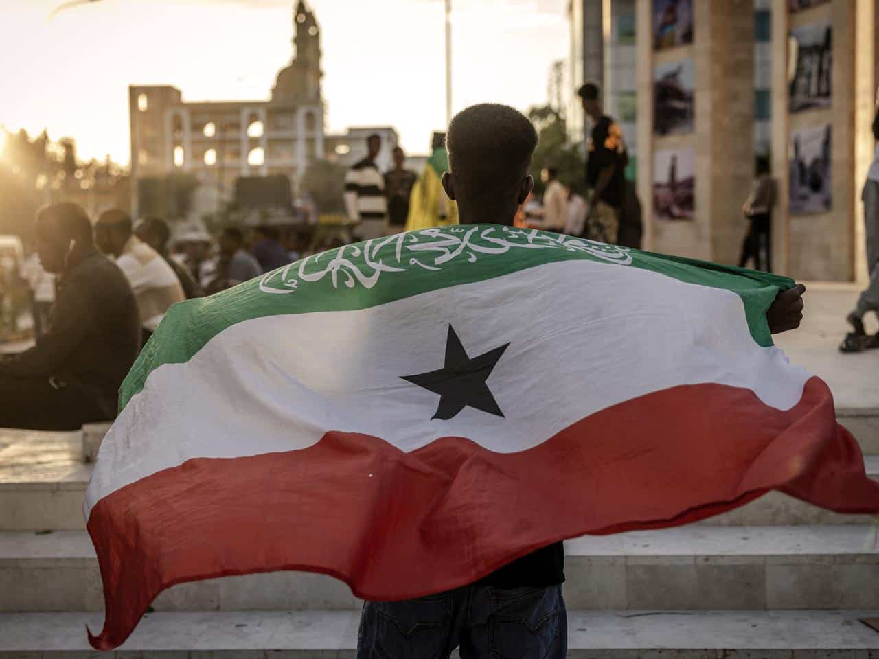 Jeune tenant un drapeau national algérien lors d'une manifestation.
