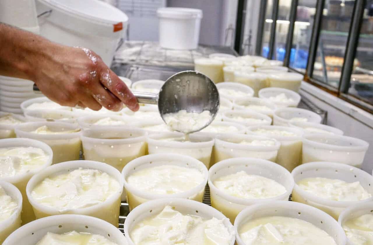 Production artisanale de fromage dans une fromagerie algérienne.